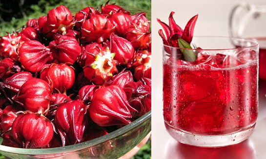 7 tác dụng thần kỳ của hoa atiso đỏ đối với sức khoẻ